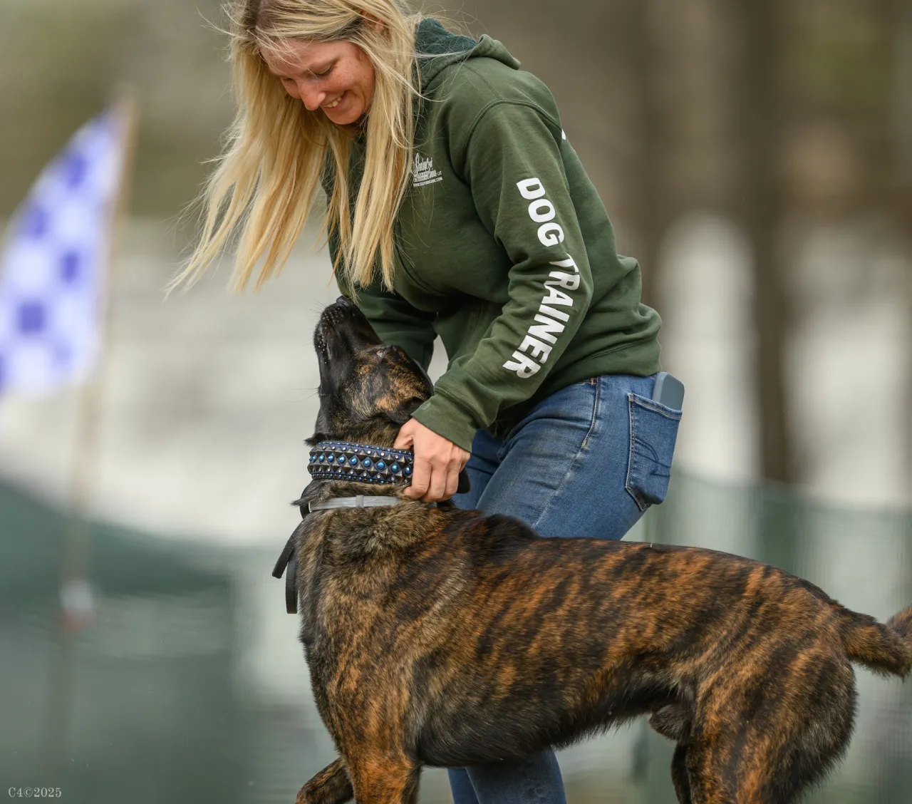 Katelyn Hill working with a brindle dog